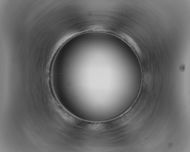 X0000094431435200711151332