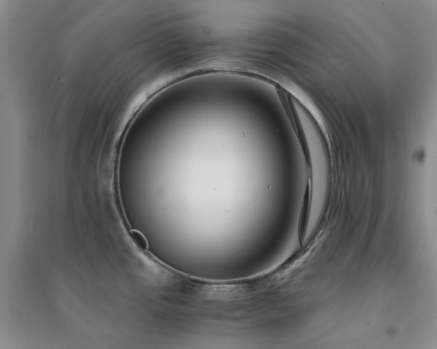 X0000094431437200711151332