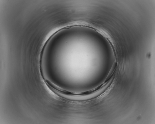 X0000094431438200711151332