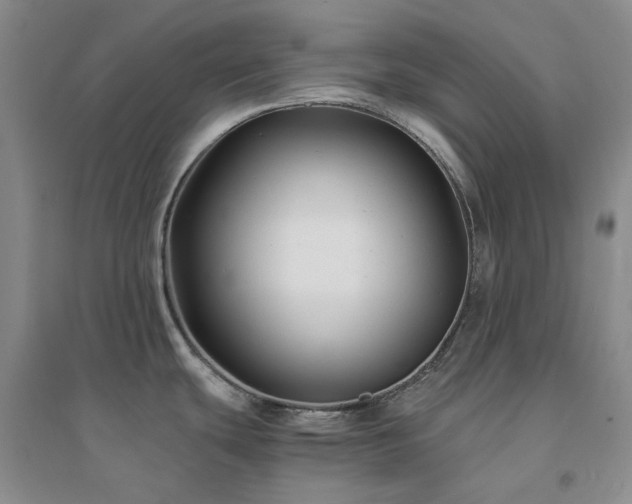 X0000094431439200711151332