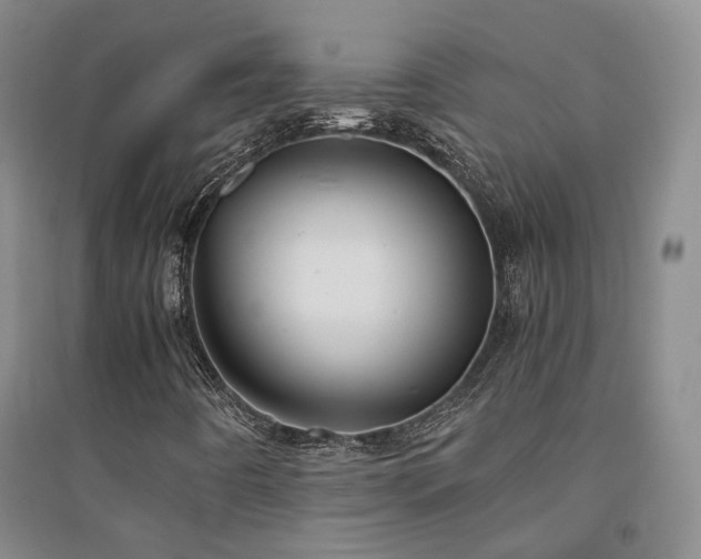 X0000094431442200711151332