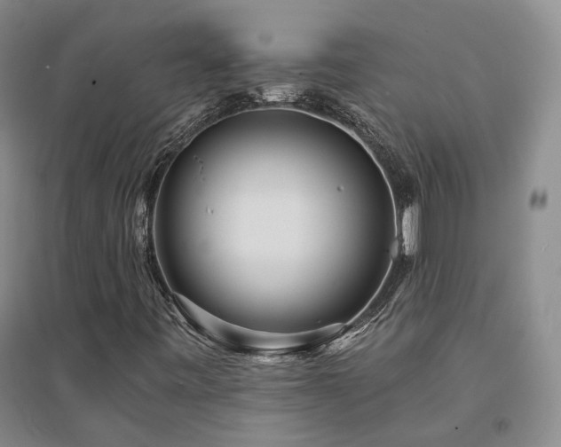 X0000094431443200711151332