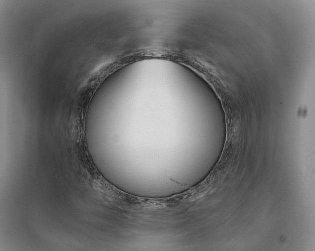 X0000094431446200711151332