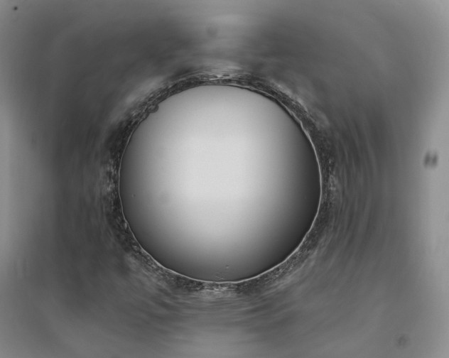 X0000094431447200711151332