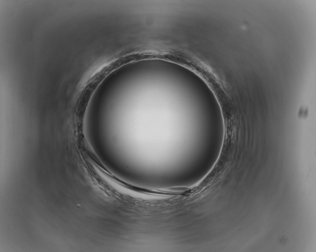 X0000094431448200711151332