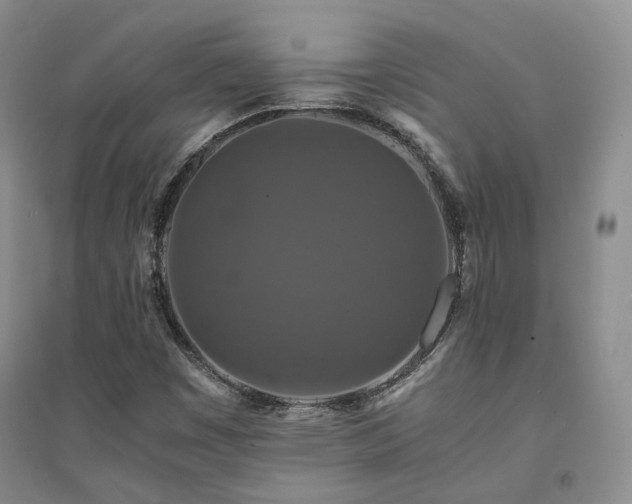 X0000094431449200711151332
