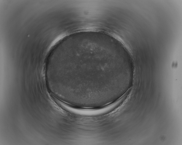 X0000094431450200711151332