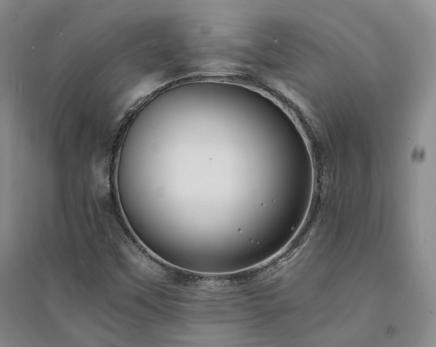 X0000094431451200711151332