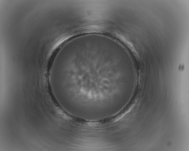 X0000094431453200711151332