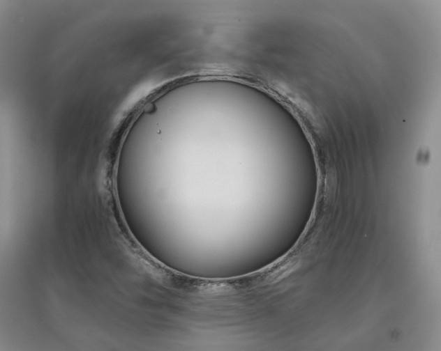 X0000094431454200711151332