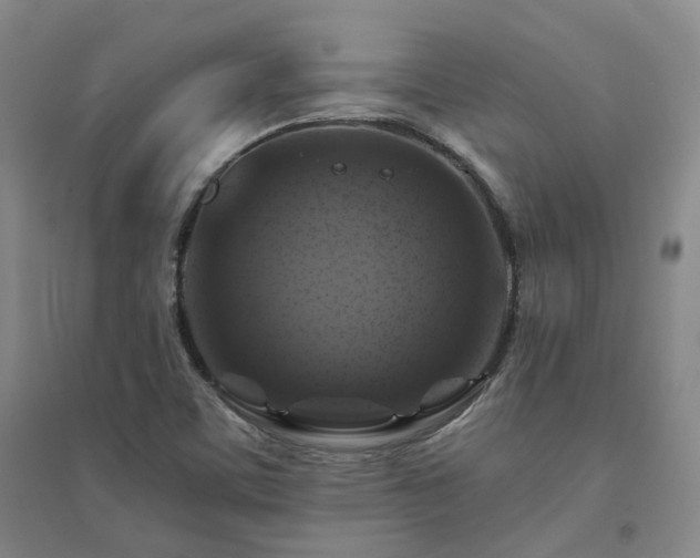 X0000094431459200711151332