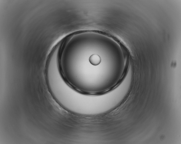 X0000094431460200711151332