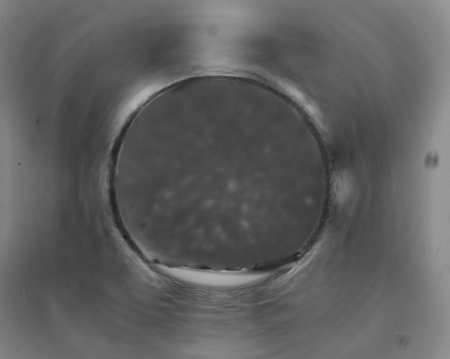 X0000094431463200711151332