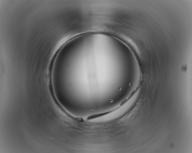X0000094431467200711151331