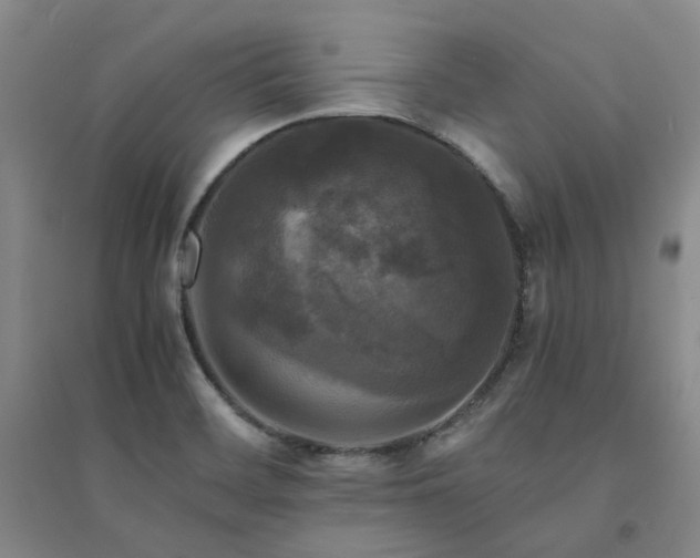 X0000094431468200711151331