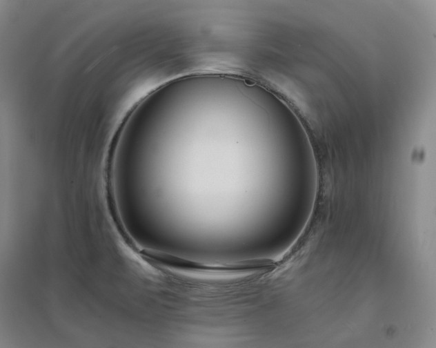 X0000094431471200711151331