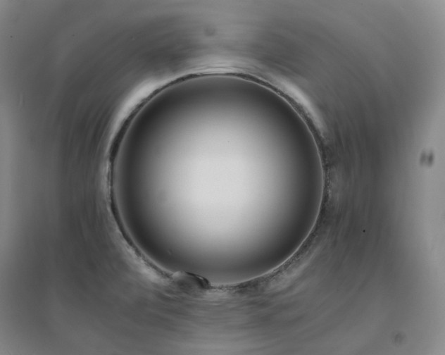 X0000094431472200711151331