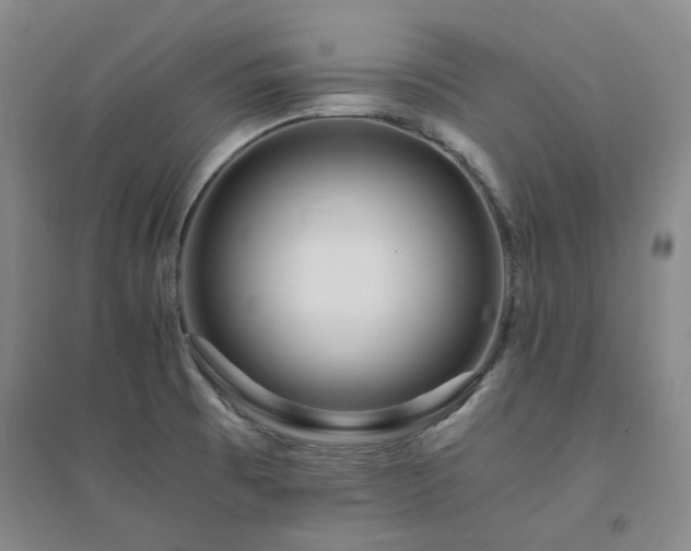 X0000094431473200711151331