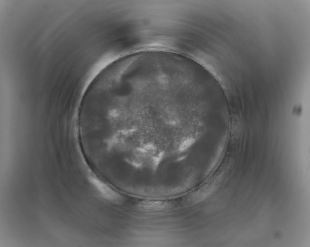X0000094431474200711151331