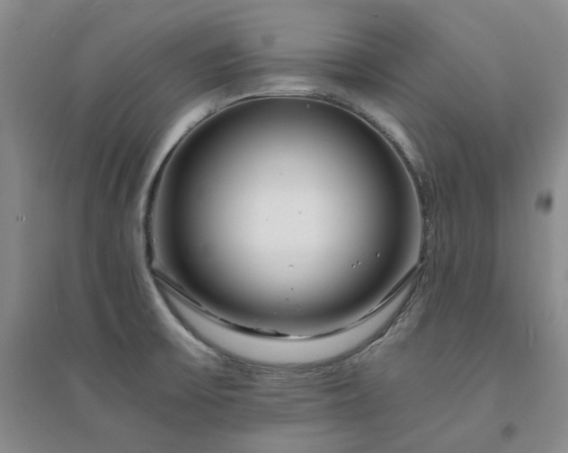 X0000094431475200711151331