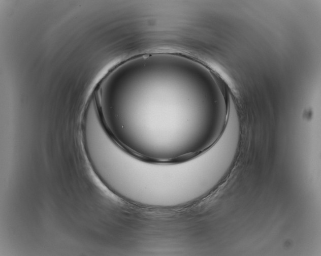 X0000094431476200711151331