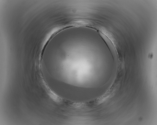 X0000094431477200711151331
