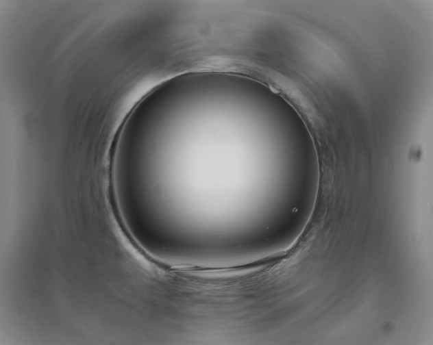 X0000094431479200711151331