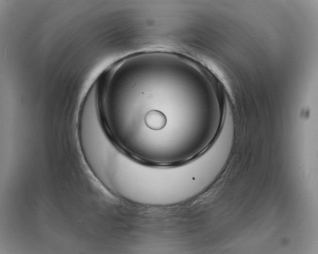 X0000094431480200711151331