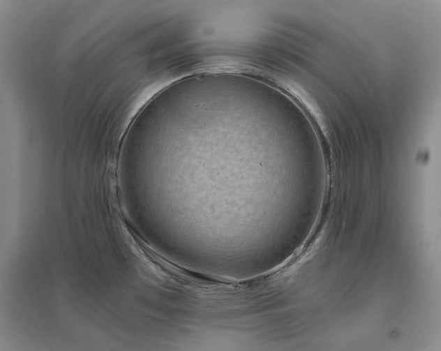 X0000094431481200711151331