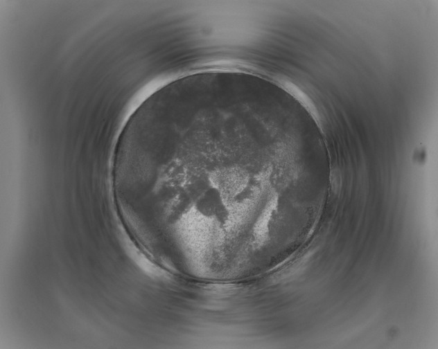 X0000094431482200711151331