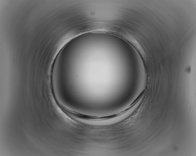 X0000094431483200711151331