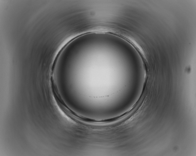 X0000094431484200711151331