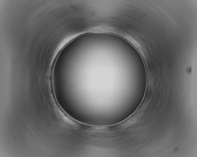 X0000094431486200711151331