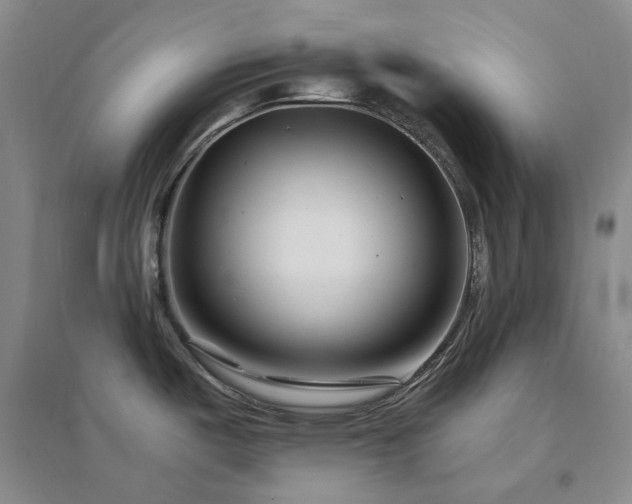 X0000094431487200711151331