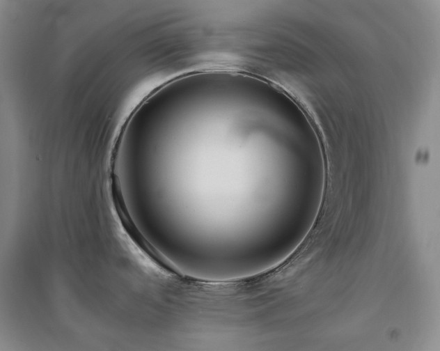 X0000094431488200711151331