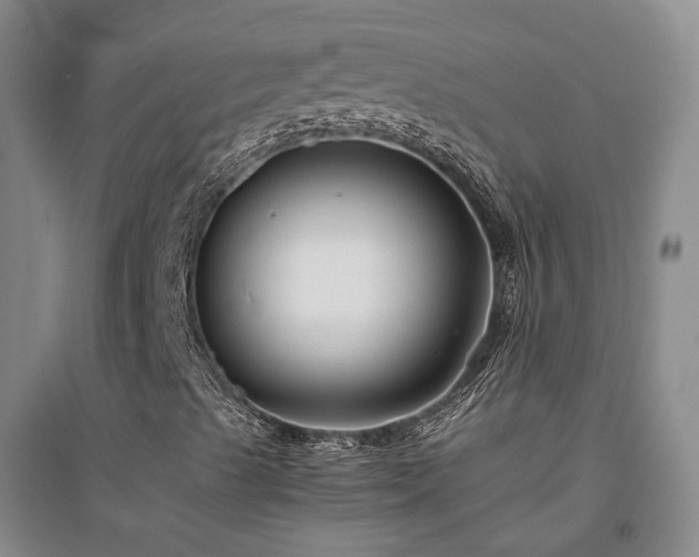 X0000094431489200711151330