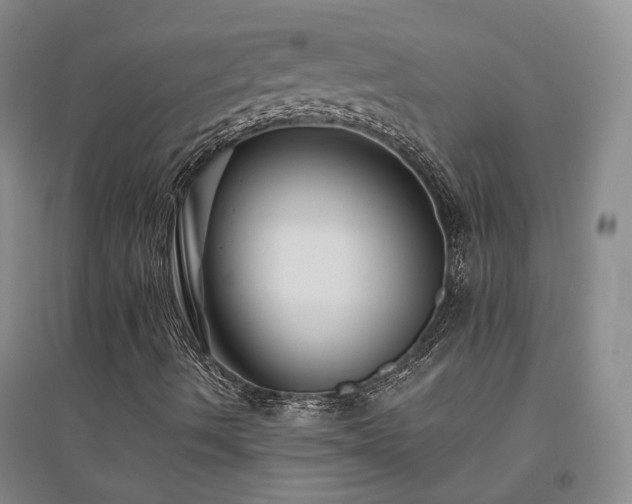 X0000094431490200711151331