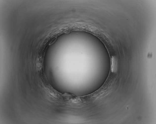 X0000094431491200711151331