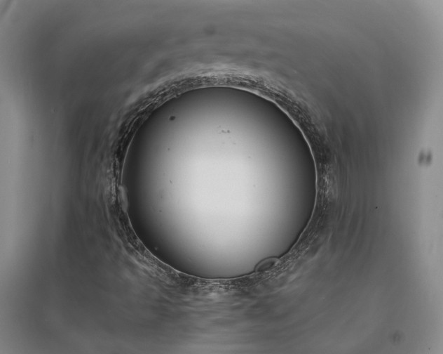 X0000094431493200711151331