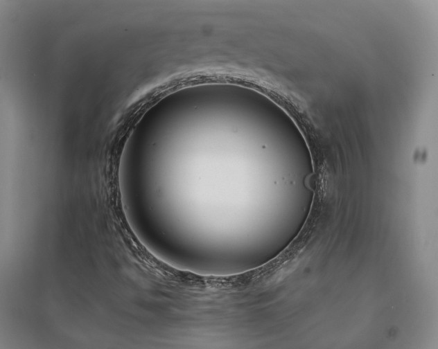 X0000094431494200711151331