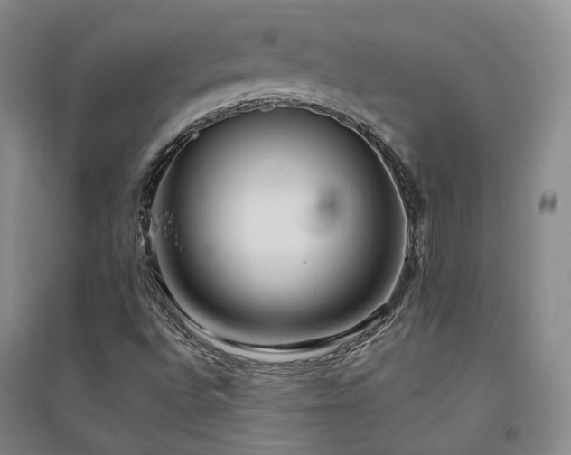 X0000094431496200711151331