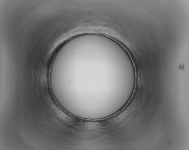 X0000094431498200711151331