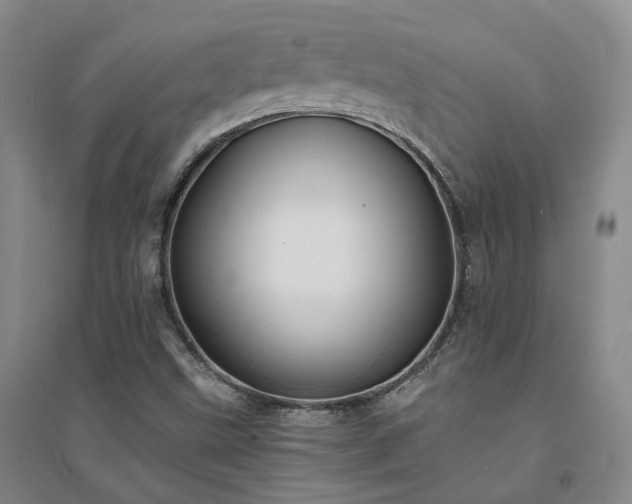 X0000094431499200711151331