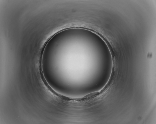 X0000094431500200711151331