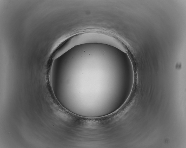 X0000094431501200711151331