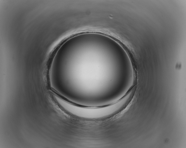 X0000094431502200711151331