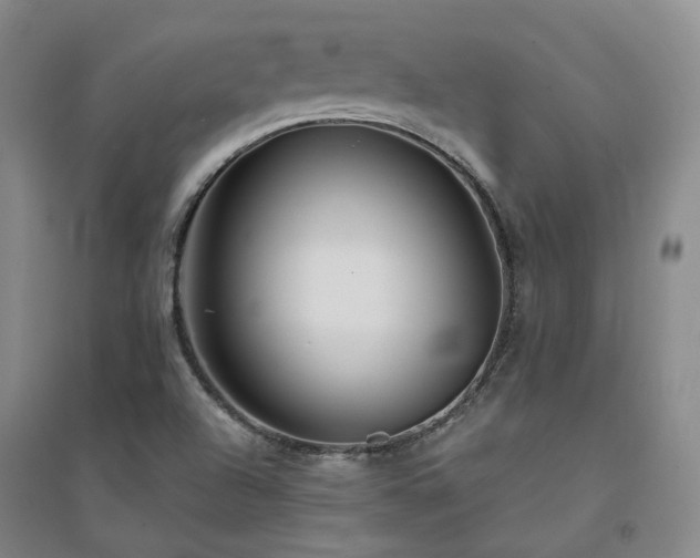 X0000094431504200711151331