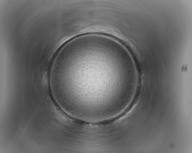 X0000094431505200711151331