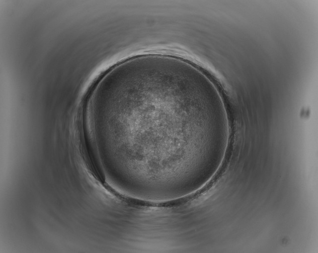 X0000094431506200711151331