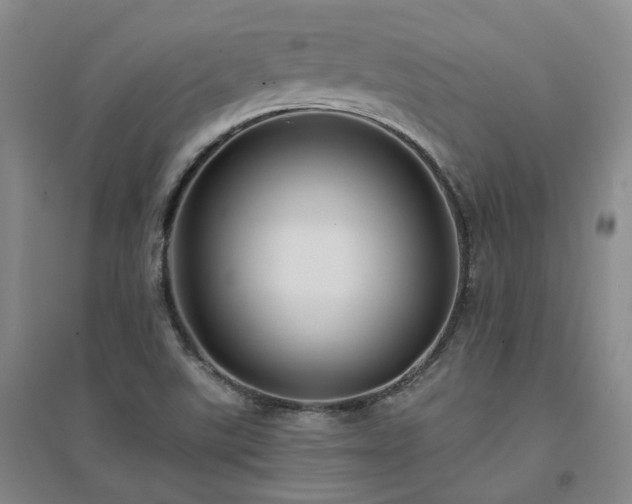 X0000094431507200711151331